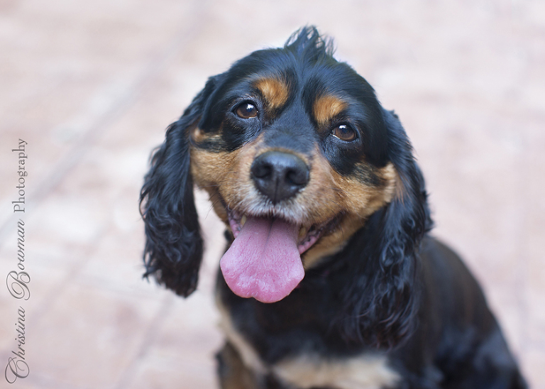 Christina Bowman Photography JPG 10