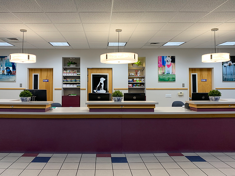 Complete Pet Care Animal Hospital / Raleigh, NC pet photography